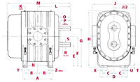 4500 Series Positive Displacement Blowers with Vacuum Pump - Vertical Configuration